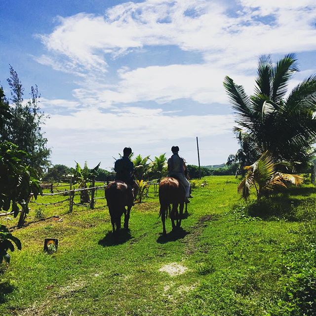 Horse Riding Photo